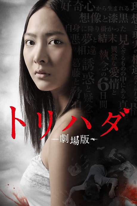 Torihada: The Movie